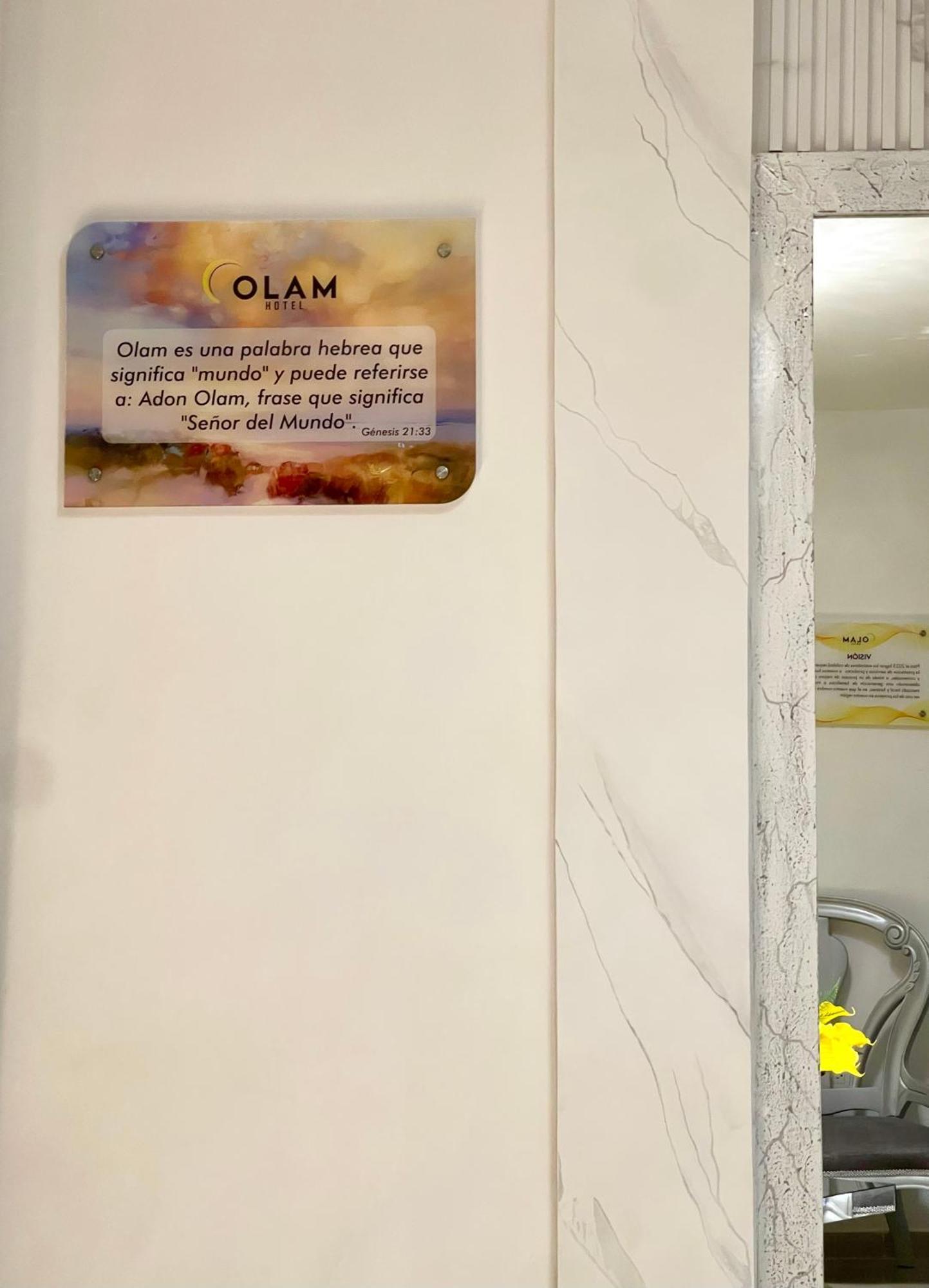 Hotel Olam Deluxe Valledupar Buitenkant foto